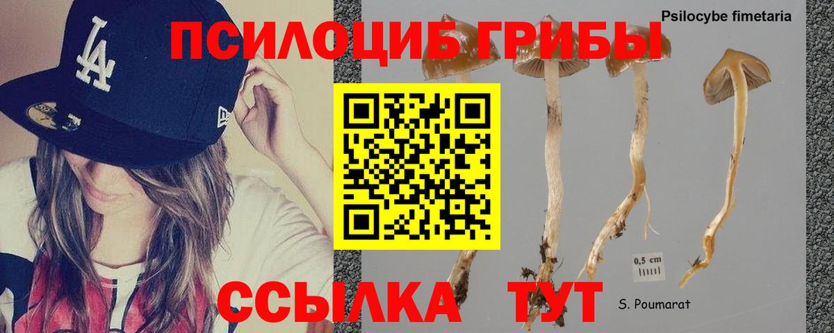 наркота  Галлюциногенные грибы MAGIC MUSHROOMS  Галлюциногенные грибы Psilocybine cubensis  Вход с VPN  Борисоглебск 
